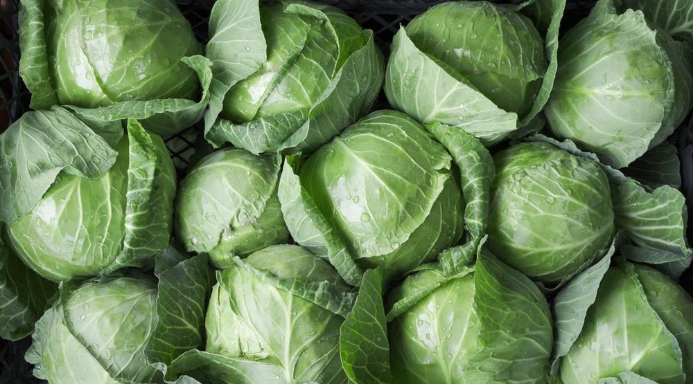 Food Processing Challenges Addressed In The Industrial Symbiosis food-processing-challenges-addressed-in-the-industrial-symbiosis